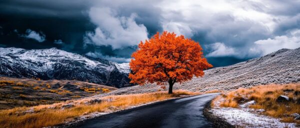 Herbstbaum am Weg – Dramatische Landschaft