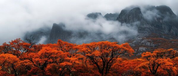 Herbstlandschaft mit Nebel und Bergen