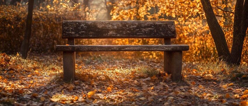 Herbstliche Bank im Wald