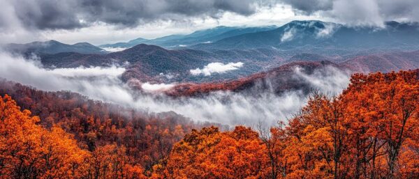 Herbstliche Berglandschaft mit Nebel