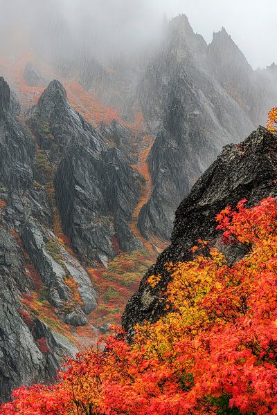 Herbstliche Berglandschaft mit Nebel