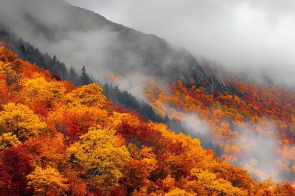 Herbstliche Landschaft mit Nebel