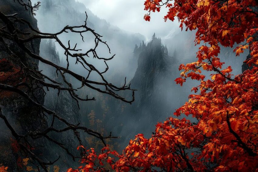 Herbstliche Nebellandschaft – Mystisch