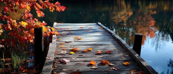 Herbstlicher Steg am See