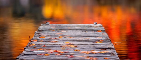 Holzsteg im Herbstlicht