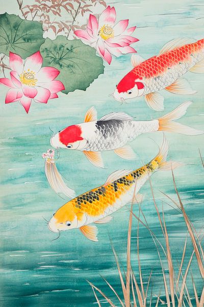 Koi-Fische im klaren Wasser – Pastellfarben