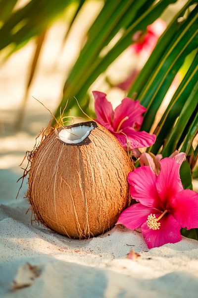 Kokosnuss mit blühenden Hibiskusblüten