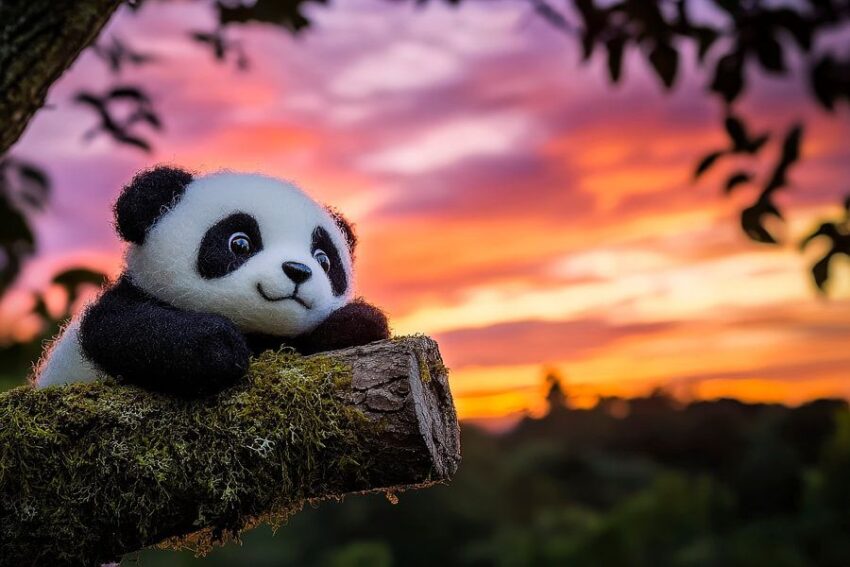 Kuschelpanda im Sonnenuntergang – Verträumt