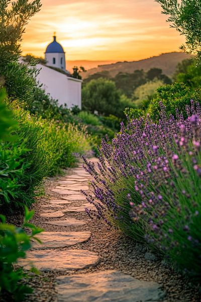 Lavendelweg bei Sonnenuntergang