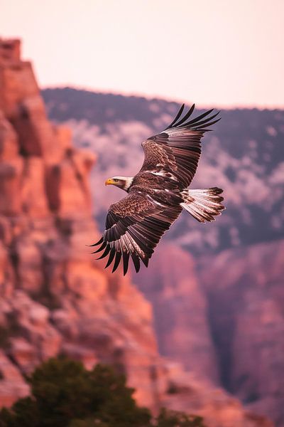 Majestätischer Adler im Flug