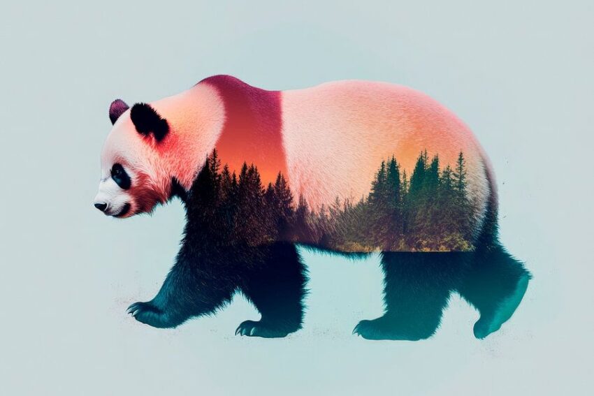 Panda in der Natur