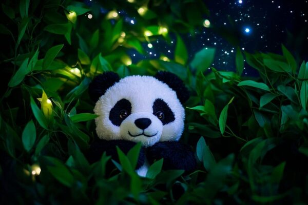 Panda-Plüschspielzeug im Abendlicht