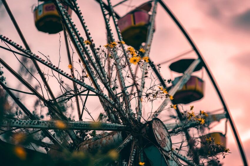 Riesenrad mit Blumen im Abendlicht