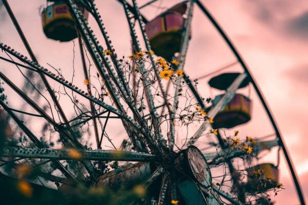 Riesenrad mit Blumen im Abendlicht