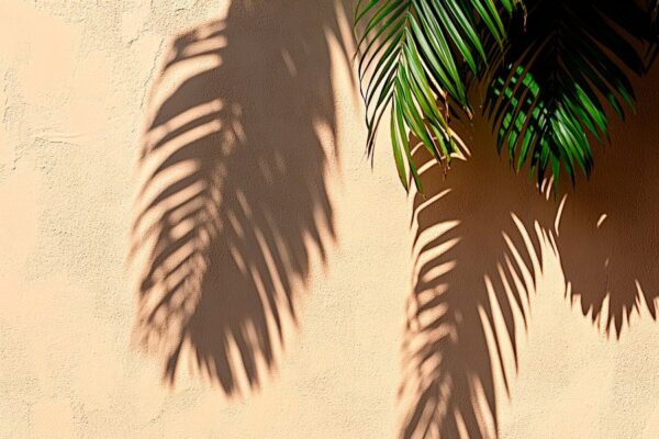 Schatten von Palmenblättern an Wand