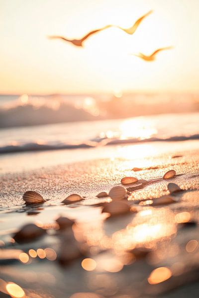 Sonnenuntergang am Strand