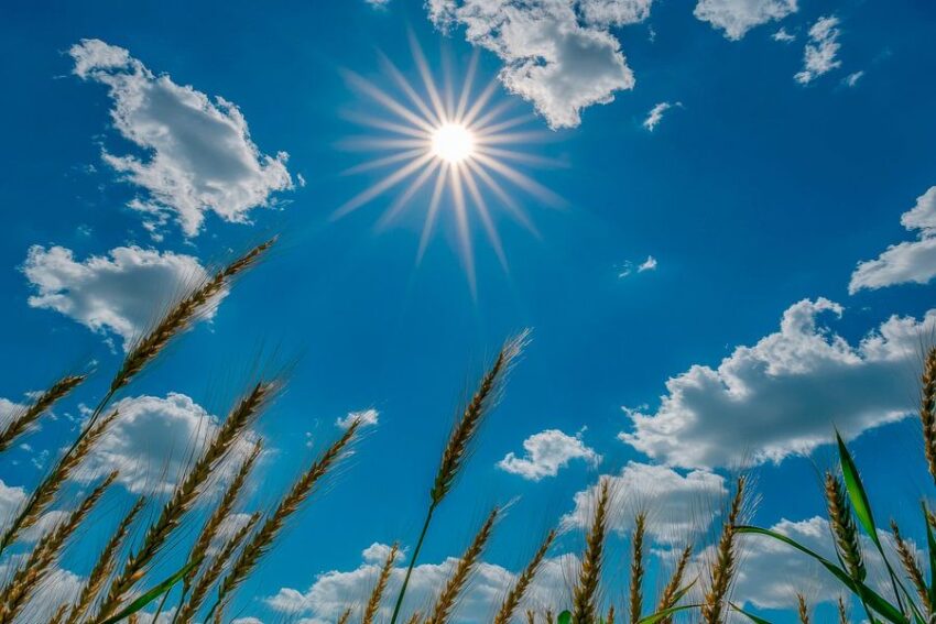 Strahlender Sonnenschein über Feldern