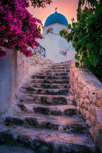 Stufen zu einer Kirche mit Bougainvillea