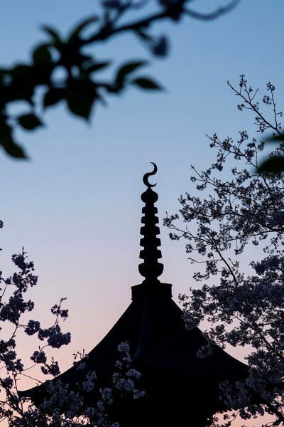 Tempel im Abendlicht