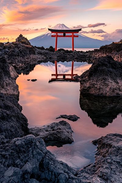 Torii und Fuji im Abendlicht