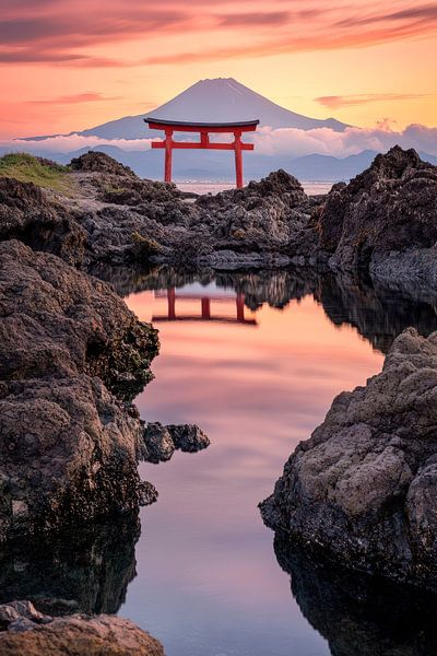 Torii vor dem Berg Fuji – Sonnenuntergang