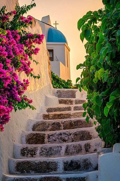 Treppenaufgang mit Bougainvillea