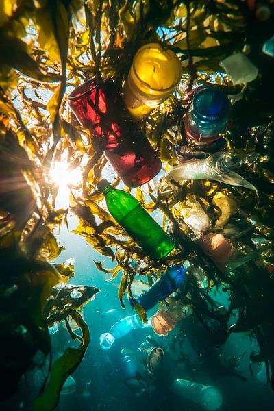 Unterwasserwelt voller Plastikreste