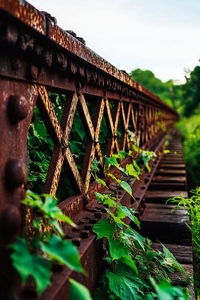 Verfallene Eisenbahnbrücke mit Pflanzen