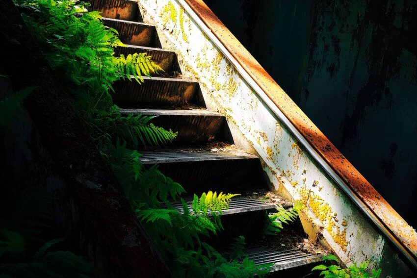 Verlassene Treppe mit Pflanzen