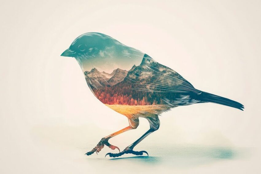 Vogel mit Landschaft