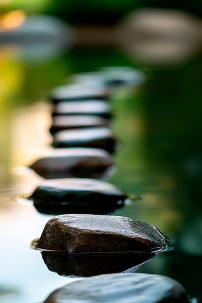 Wassersteine im sanften Licht