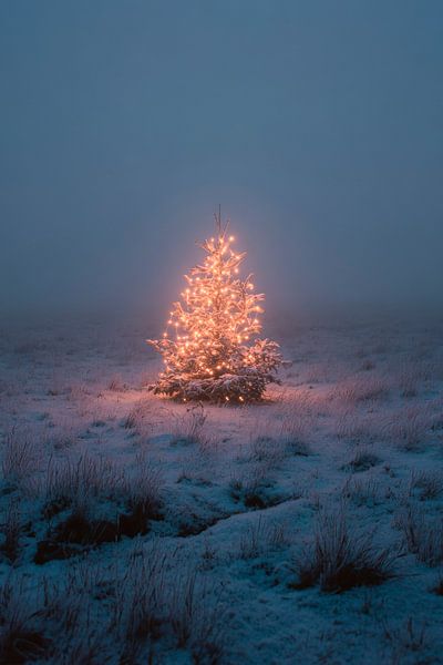 Weihnachten im Nebel