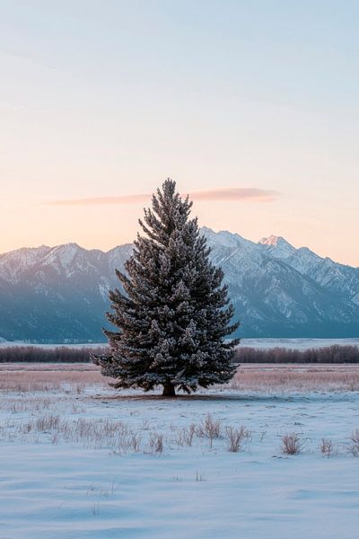 Weihnachten im Schnee