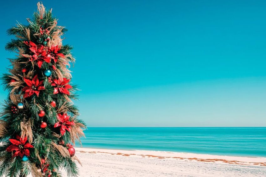 Weihnachtsbaum Strand