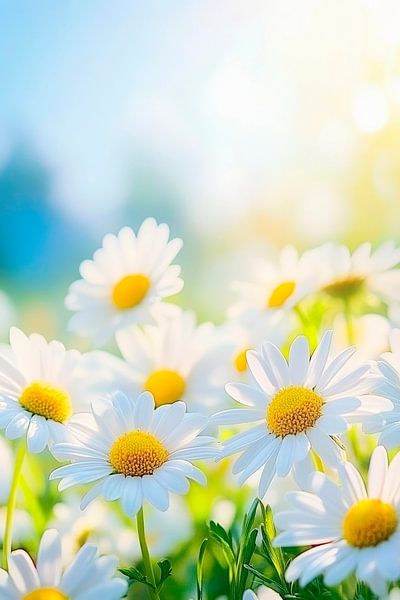 Wiesenblumen im sanften Licht