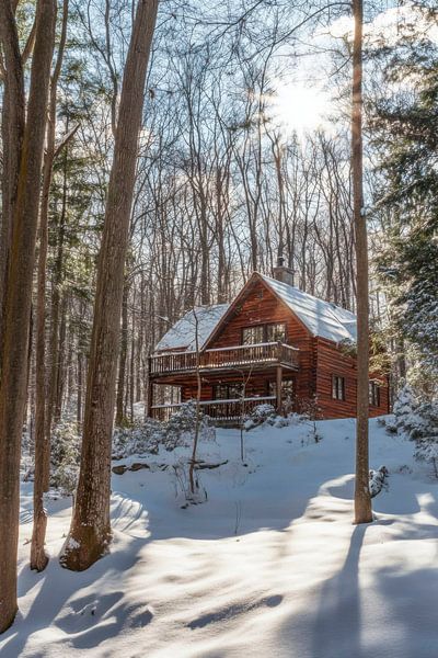 Winterhaus Wald