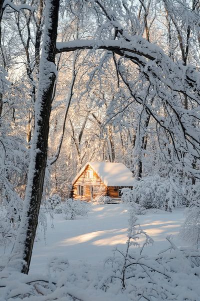 Winterwald Hütte