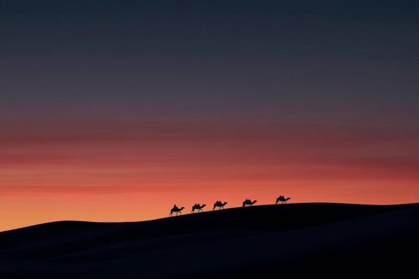 Wüstenkarawane bei Sonnenuntergang