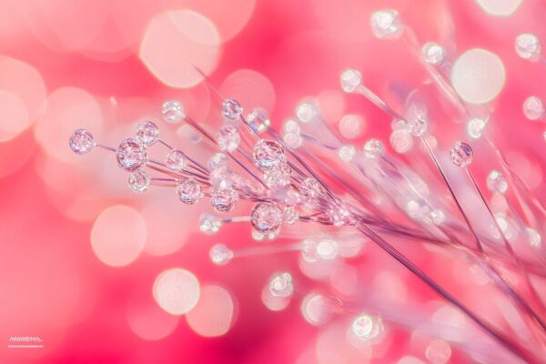 Zarte Blüten in rosa Bokeh-Licht