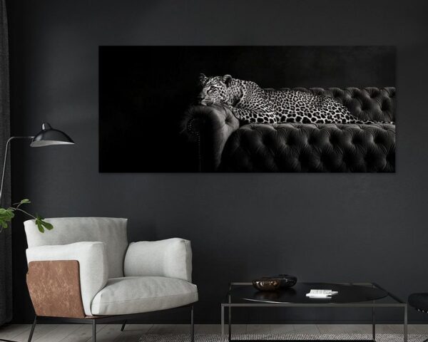 Leopard auf Couch