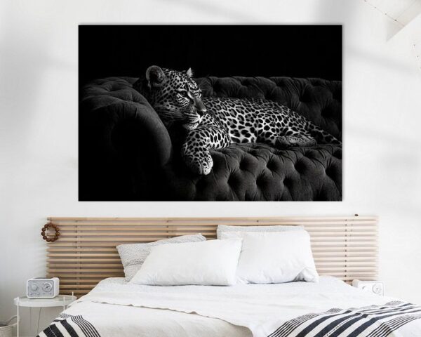 Leopard auf Sofa